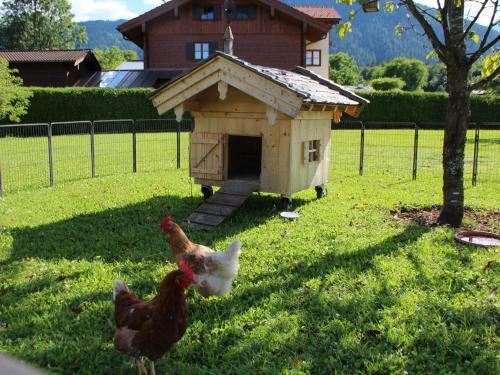Bed & Breakfast Haus Mariengrund