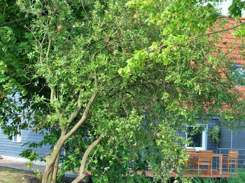 Landhaus Mit S�dterrasse Am Teich