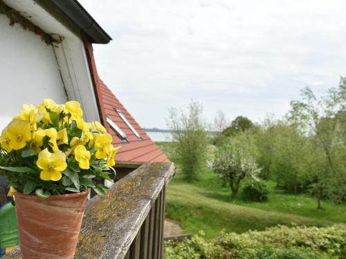 Apartamento Zum Breitling 2