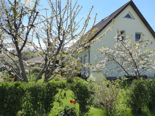 Apartamento Landluftfewo-r�gen
