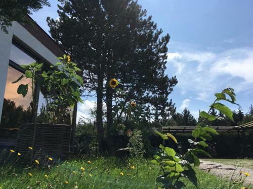 Hostal Hotel-pension Seeadler