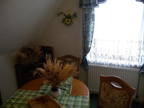 Apartments In Putbus/insel R�gen 3035