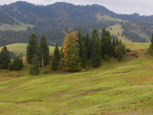 Apartamento Appartement Bergfrieden
