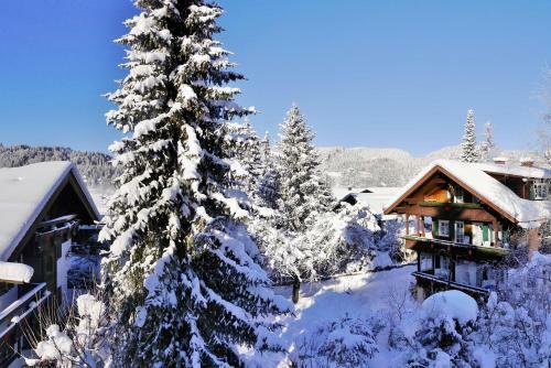 Apartamentos Ferienwohnung Allg�ublick
