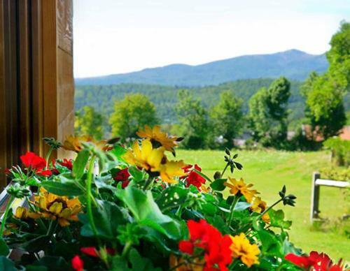 Hostal Pension Draxlerhof