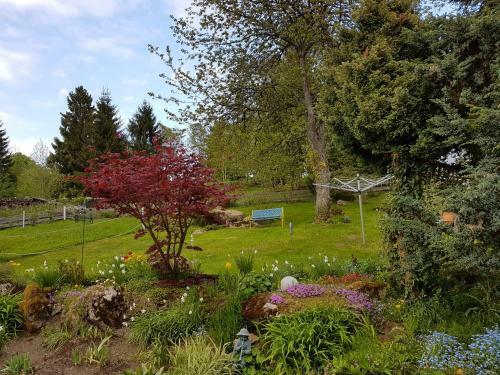 Apartamento Ferienwohnung Dersch