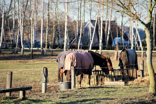 Boutique Hotel Lenz Am Plauer See