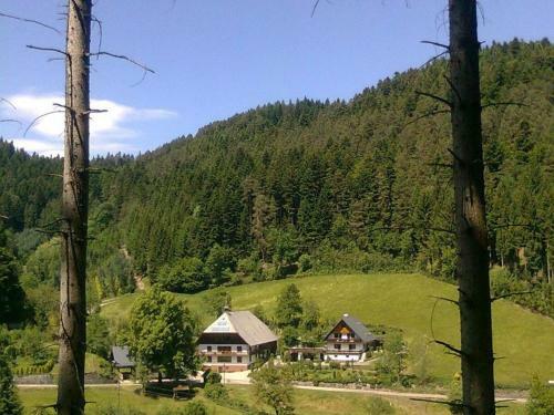 Apartamento Waldbauernhof