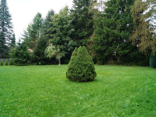 Hasselfelde 2