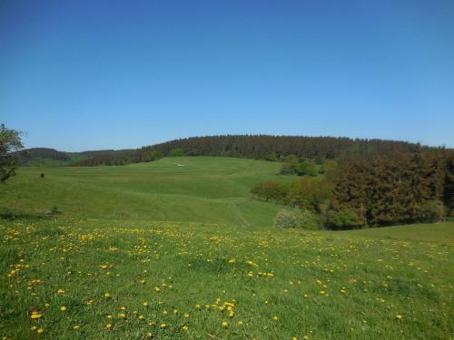 Eifeltalblick