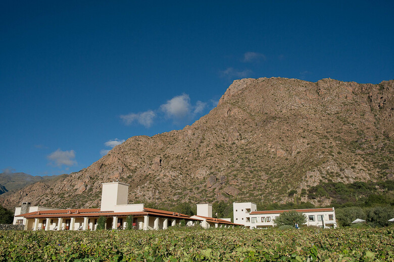 Hotel Vi�as De Cafayate Wine Resort
