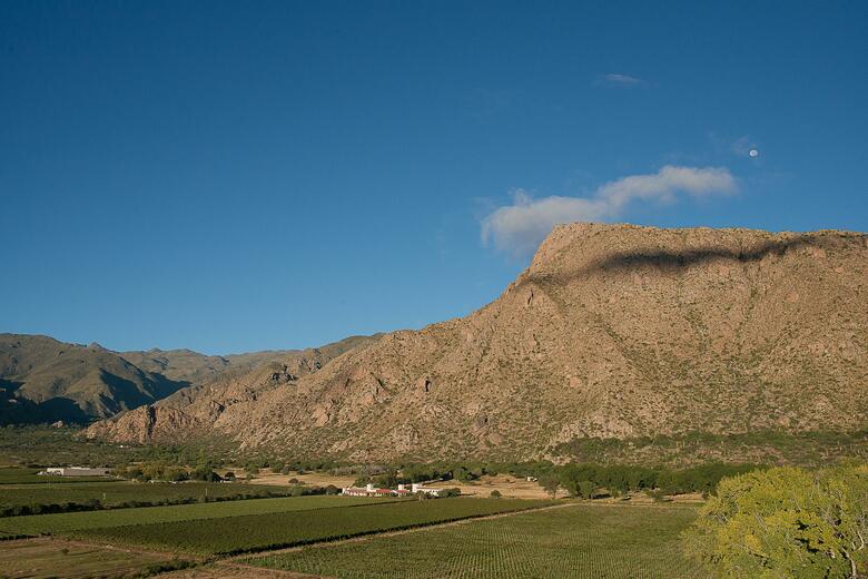 Hotel Vi�as De Cafayate Wine Resort
