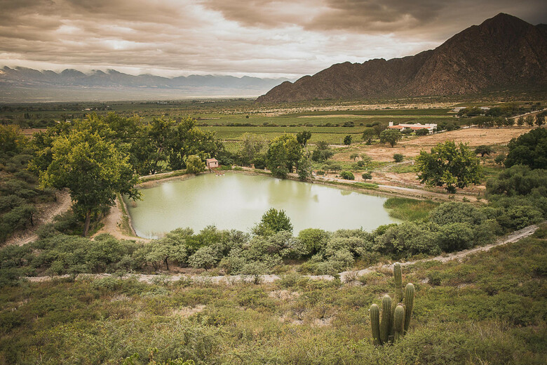 Hotel Vi�as De Cafayate Wine Resort
