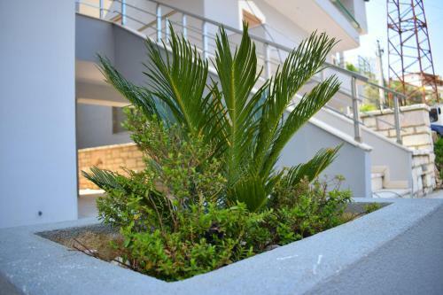 Hotel Saranda View Apartments