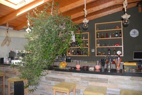 Hostal Olive Tree