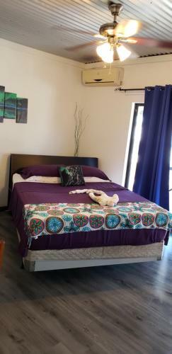 Apartamento Hidden Jems Casa Ashley