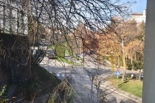 Apartmani Zlatka - Story