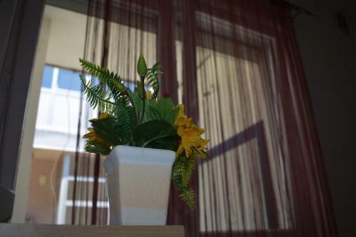 Hostel Omega