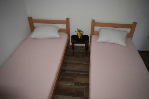 Hostel Omega