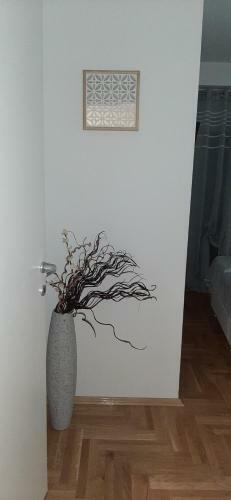Apartman Apolon