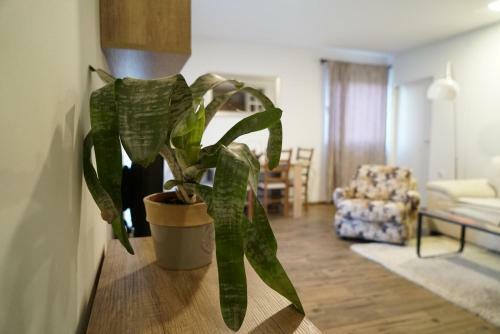 Rs Apartmani
