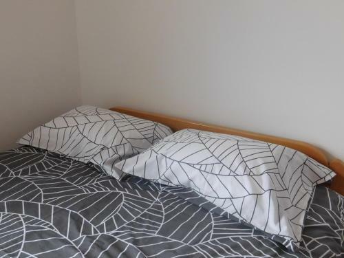 Apartmani Castra