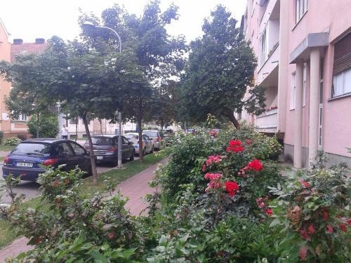 Apartment Ma
