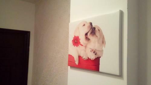 Apartment Matovic