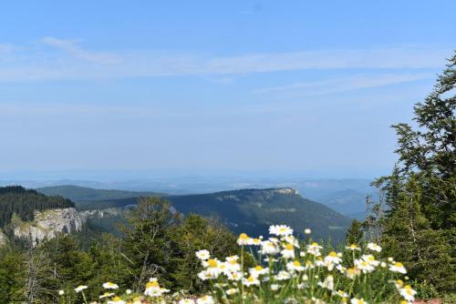 Apartamento Discover Jahorina
