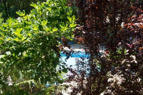 Hostal Guest House Milicevic