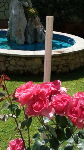Hostal Rooms Rafomarija