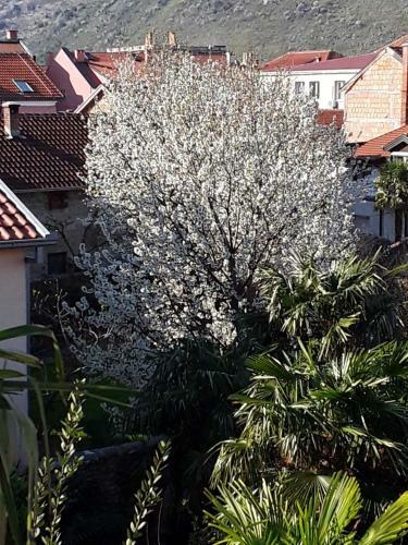 Apartamento Villa Flower With Free Onsite Parking