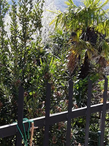 Apartamento Villa Flower With Free Onsite Parking