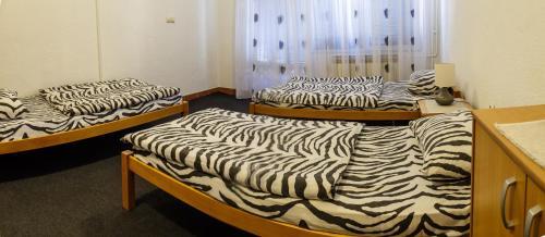 Apartman Cicovi?