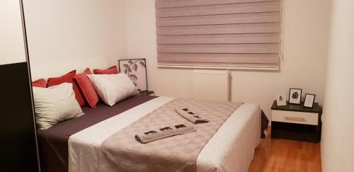 Apartman Ss