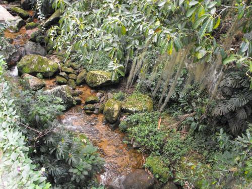 Hotel Pousada Cascata Dos Amores
