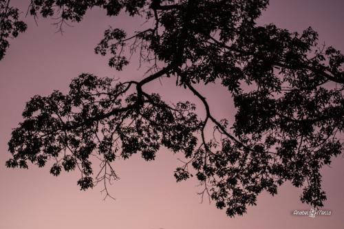 Hotel Caviuna Pouso Rural