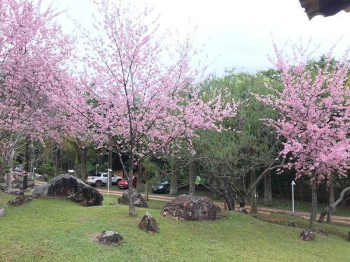 Hostal Calcada Sao Jose