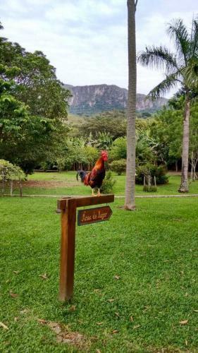 Hostal Calcada Sao Jose