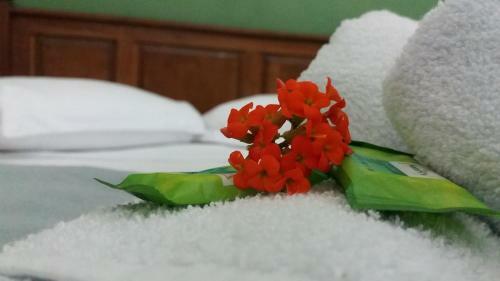 Hostal Pousada Nascer Do Sol