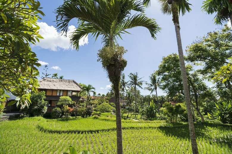 Hotel Agung Raka Bungalows