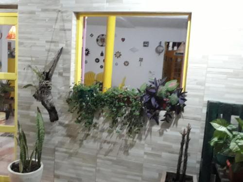 Hostal Hostel Sol De Piri