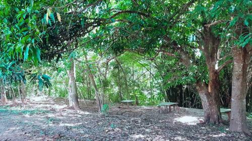 Agroturismo Fazenda Araras