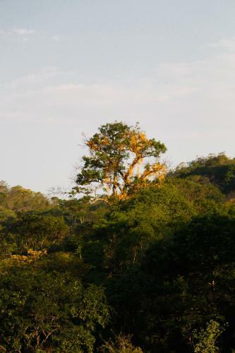 Agroturismo Sitio Da Paz