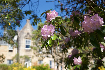 Hotel Stonefield Castle