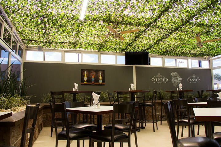Hotel Sleep Inn Chihuahua