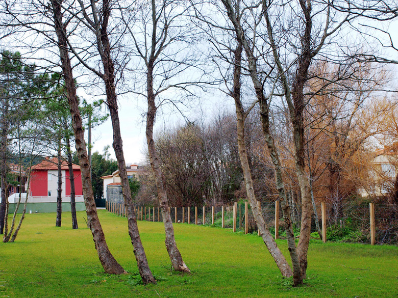 Apartamentos Insua Finisterre