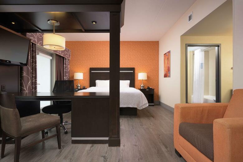 Hotel Hampton Inn & Suites Chattanooga Downtown