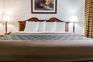 Hotel Econo Lodge & Suites