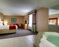 Hotel Comfort Suites Airport